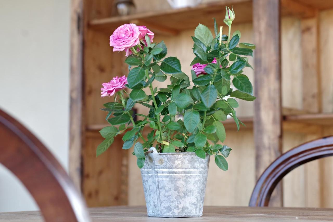 Beb Montefratta Bed and Breakfast Fratta Terme Exteriör bild