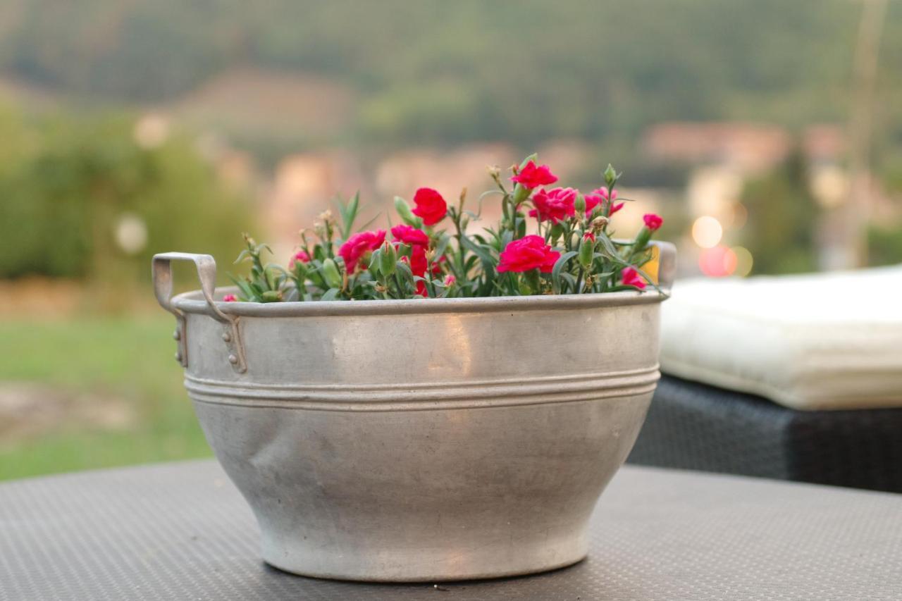 Beb Montefratta Bed and Breakfast Fratta Terme Exteriör bild