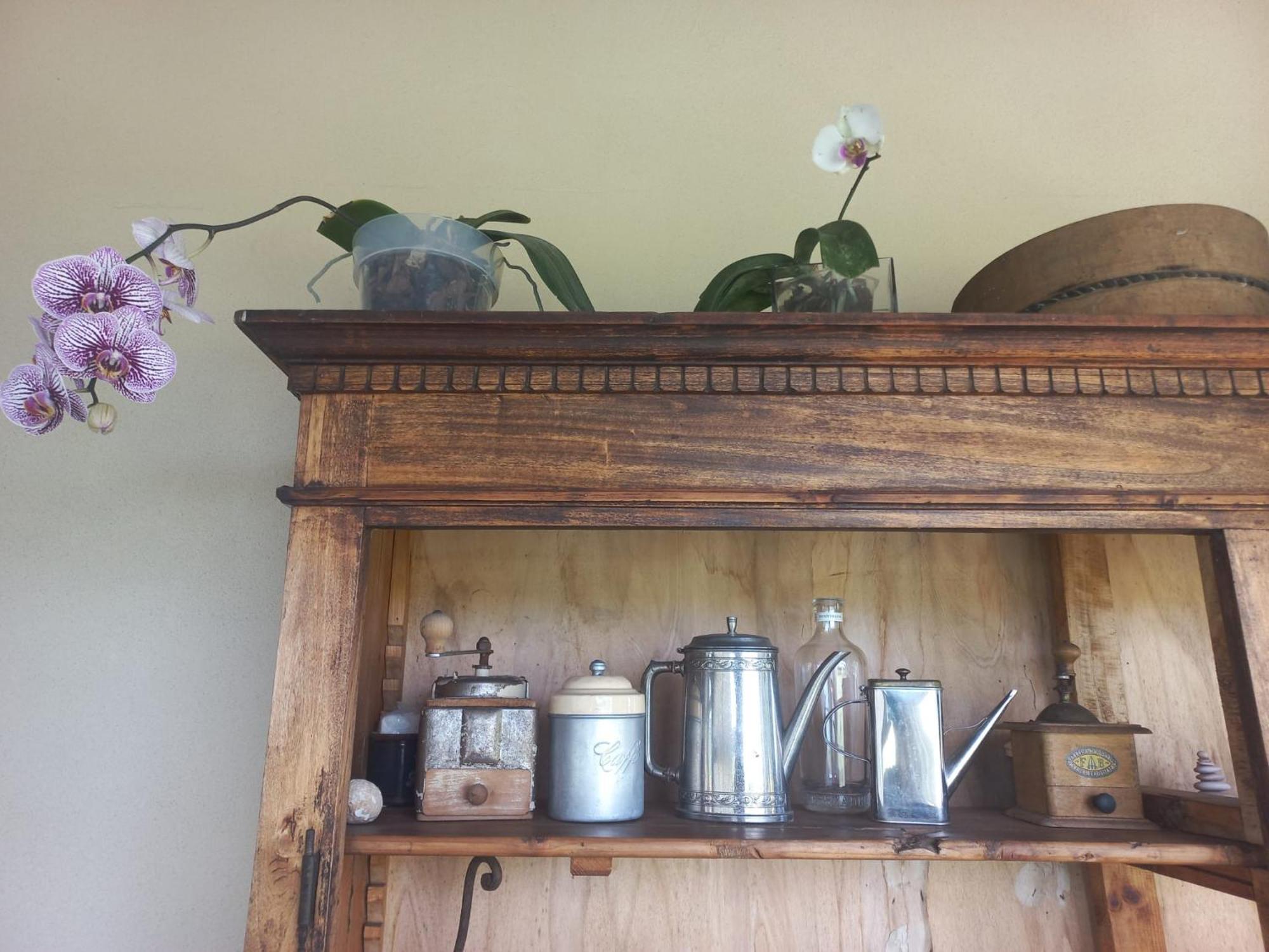 Beb Montefratta Bed and Breakfast Fratta Terme Exteriör bild