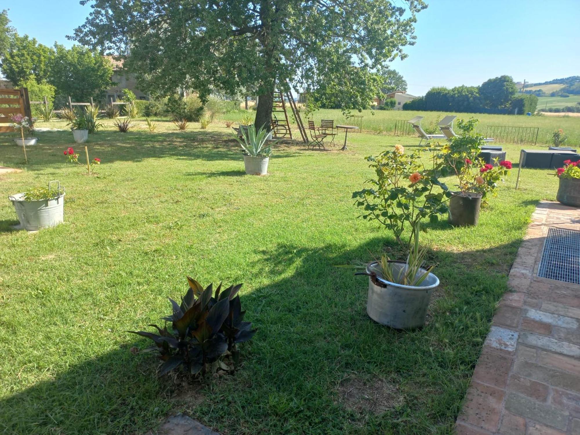Beb Montefratta Bed and Breakfast Fratta Terme Exteriör bild