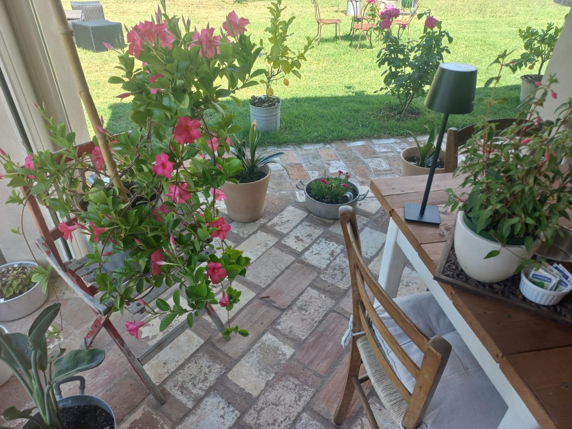 Beb Montefratta Bed and Breakfast Fratta Terme Exteriör bild