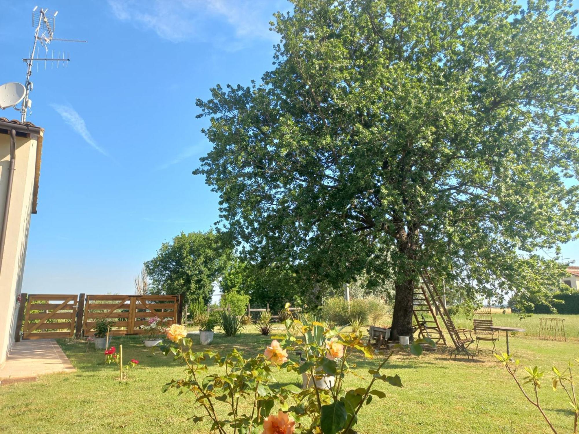 Beb Montefratta Bed and Breakfast Fratta Terme Exteriör bild