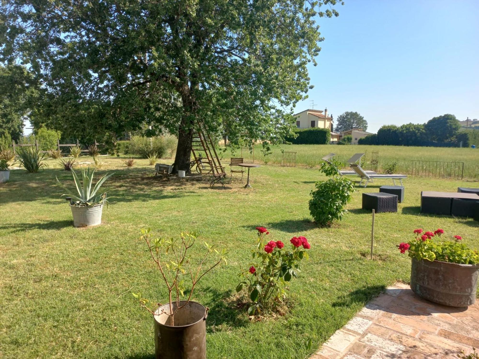 Beb Montefratta Bed and Breakfast Fratta Terme Exteriör bild